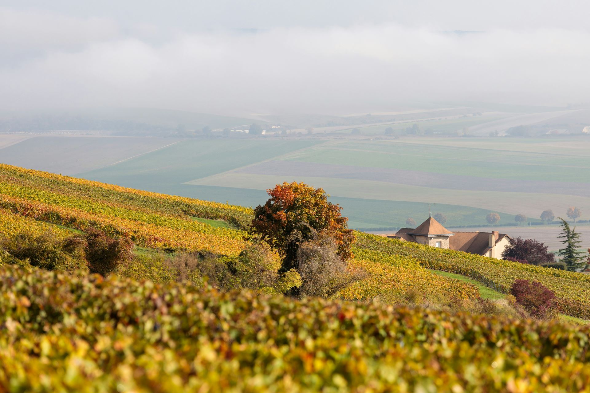 Countryside
